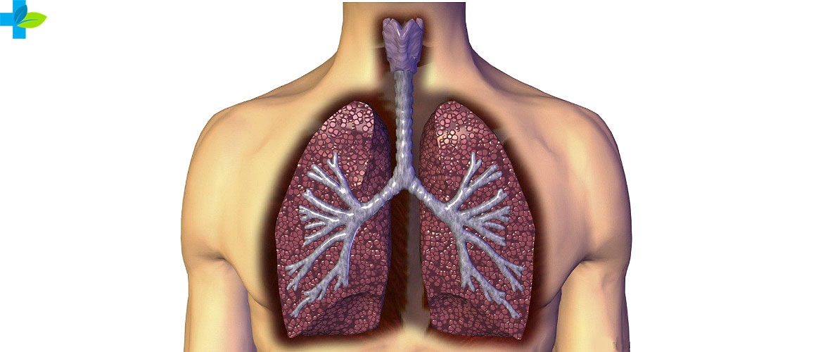 Туберкулез открытой формы