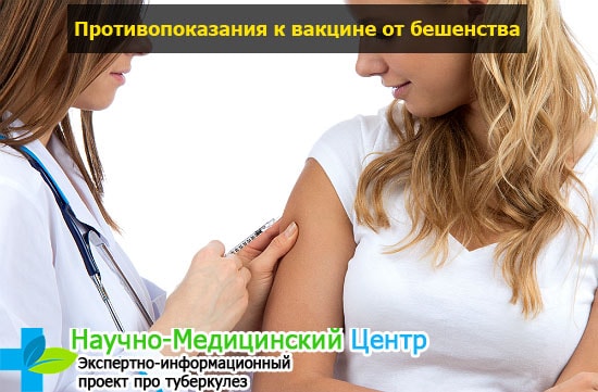 Противопоказания при вакцинации человека от бешенства