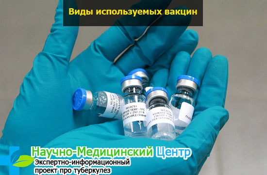 Интервалы прививки против краснухи thumbnail