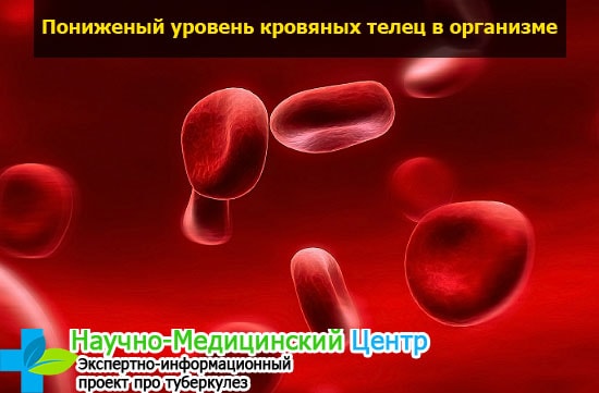 Виден ли туберкулез при анализе крови thumbnail
